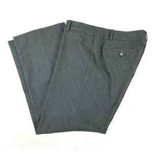Loft Petites Pants